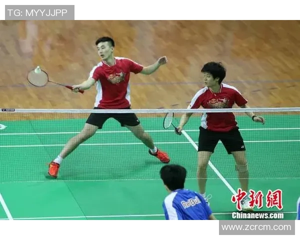 南京羽毛球队比赛经验深度对比与分析探讨